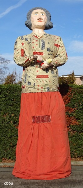Wiske Witloof